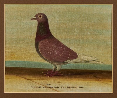 Lot 1286 - J Browne pair of early 20th century oil on canvas pigeon paintings, depicting ‘Blue Hen’ and ‘1826’