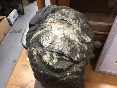 Lot 653 - Cold cast bronze (resin) bust of a boy on a wooden base, with label to base, 45cm high