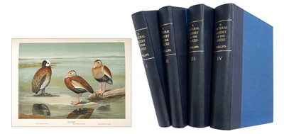 Lot 704 - John C. Phillips - A Natural History of the Ducks, 4 vols., 1st ed., 1922-26, coloured and black and white prints after drawings by Frank W. Benson, Allan Brooks and Louis Agassiz Fuertes. 4to, goo...