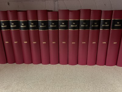 Lot 703 - The Zoologist - a very rare comprehensive and mostly complete run of the monthly publication, from volume 1 (1843) - (1913) illustrated, in modern bindings. (61)