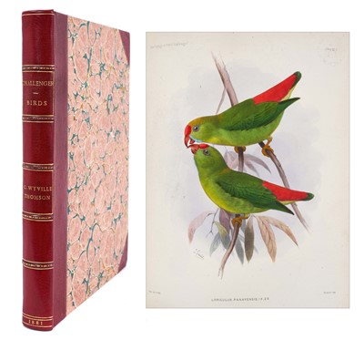 Lot 705 - Report on the Scientific Results of the Voyage of the H.M.S. Challenger during the Years 1873-76... Zoology, volume II, London: Longmans & Co., 1881. Including 30 30 hand-coloured bird plates, mode...