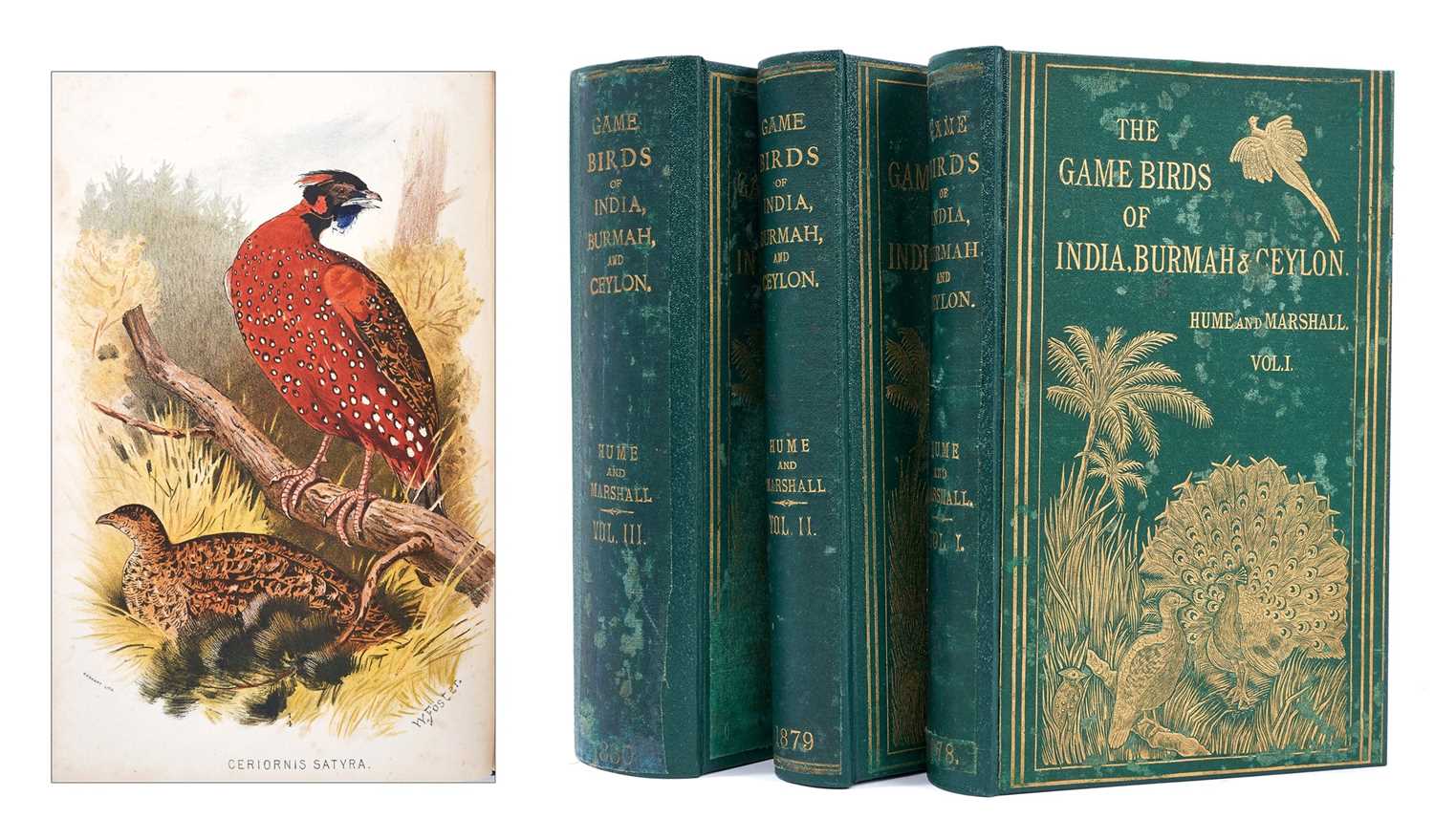 Lot 720 - Hume & Marshall - The game birds of India Burmah & Ceylon. Calcutta 1879-1881 subscribers edition 8vo 3 volumes, coluour lithographic plates, original decorative green cloth