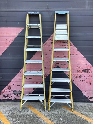 Lot 121 - Youngman 8 tread fibreglass step ladder, together with another 8 tread fibreglass step ladder.