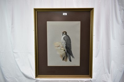 Lot 736 - John Frank Haywood (1936-1991) watercolour, Peregrine, signed, 46 x 33cm