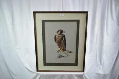 Lot 732 - John Frank Haywood (1936-1991) watercolour, Falcon, signed, 47 x 33cm, glazed frame