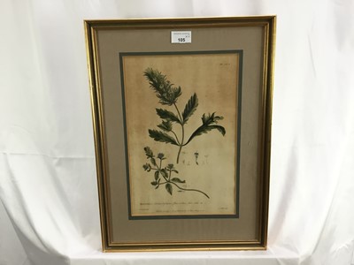 Lot 105 - Pair of 18th century botanical coloured engraving, “Brunella” and “Blattaria”. R Lancake Delin / JJ Miller Sculp. Published according to the act of Parliament by P Miller 1756. From the book “The G...