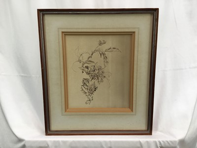 Lot 87 - Sylvia Cave, 20th century British School. Monochrome watercolour study, “Apple Blossom”. Gallery label verso. Framed. 23.5x20.5cm
