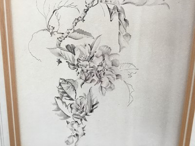 Lot 87 - Sylvia Cave, 20th century British School. Monochrome watercolour study, “Apple Blossom”. Gallery label verso. Framed. 23.5x20.5cm