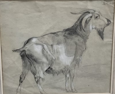 Lot 90 - 19th century graphite and chalk study of a goat, signed upper right “Stubbs April 16th/…”. Framed and mounted. Overall including frame 34x41.5cm