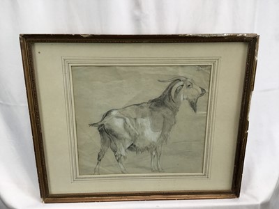 Lot 90 - 19th century graphite and chalk study of a goat, signed upper right “Stubbs April 16th/…”. Framed and mounted. Overall including frame 34x41.5cm