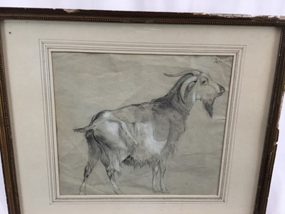 Lot 90 - 19th century graphite and chalk study of a goat, signed upper right “Stubbs April 16th/…”. Framed and mounted. Overall including frame 34x41.5cm