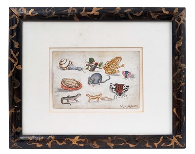 Lot 592 - 19th century Continental school gouache on paper, studies of animals and a walnut, indistinctly signed and dated 1820