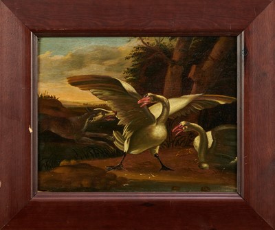 Lot 277 - Netherlandish School, probably 18th century, oil on panel - Two Swans protecting their nest from a Hound, 26cm x 33cm, framed