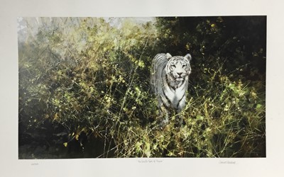 Lot 299 - David Shepherd (1931-2017) signed limited edition print - The White Tiger of Rewa, 250/350, unframed, 63cm x 94cm