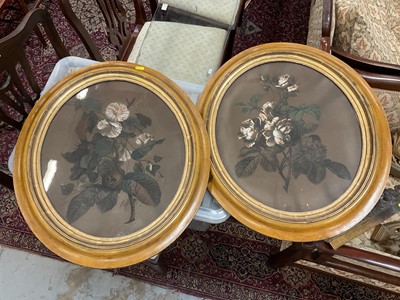 Lot 558 - Pair of chalk botanical studies in oval frames.