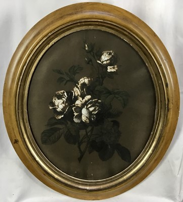 Lot 409 - Pair of Victorian English School chalk botanical works, 44cm x 36cm, in oval gilt frames