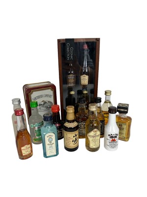 Lot 29 - Miniatures, 18 bottles, to include cognac, Japanese whisky, boxed sets etc