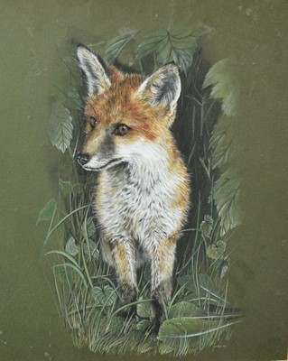 Lot 415 - KRS, bodycolour, fox cub, signed and dated '80, 29 x 23cm, framed