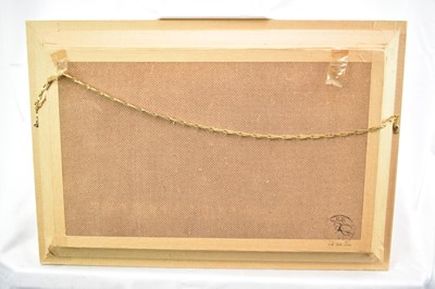 Lot 745 - Glazed display of insects arachnids and beetles, 36 x 41cm