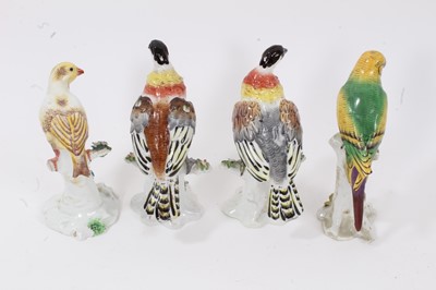 Lot 25 - Group of four Continental porcelain birds, including one pair, and another with Sitzendorf mark, the largest 16.5cm high