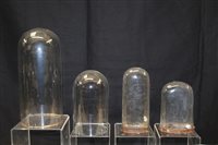 Lot 2709 - Four glass domes