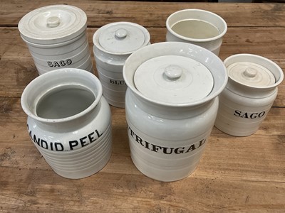 Lot 1414 - Group of six late 19th/early 20th century white glazed kitchen storage jars, each with unusual titles, including 'Centrifugal', 'Arrow Root', 'Sago', 'Blue', and 'Candid Peel'