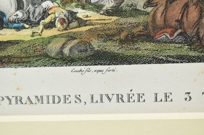 Lot 990 - Collection of eight 19th century hand coloured lithographs - Battle scenes to include Ratisbonne, D'Occana, Montebello, Du Claire and others, in decorative frames