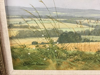 Lot 108 - Christopher Osborne (Born 1947) oil on board, "From The Downs", signed, also  
inscribed verso, in gilt frame