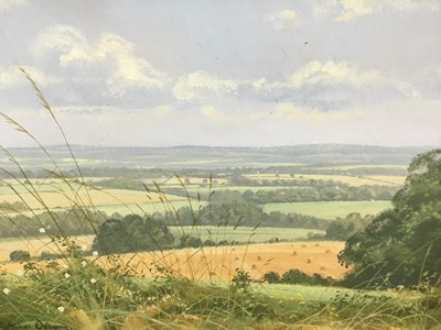 Lot 108 - Christopher Osborne (Born 1947) oil on board, "From The Downs", signed, also  
inscribed verso, in gilt frame