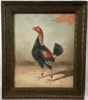 Lot 100 - Continental School oil on canvas laid on wood board, Fighting Cock, 25cm x 20cm, framed