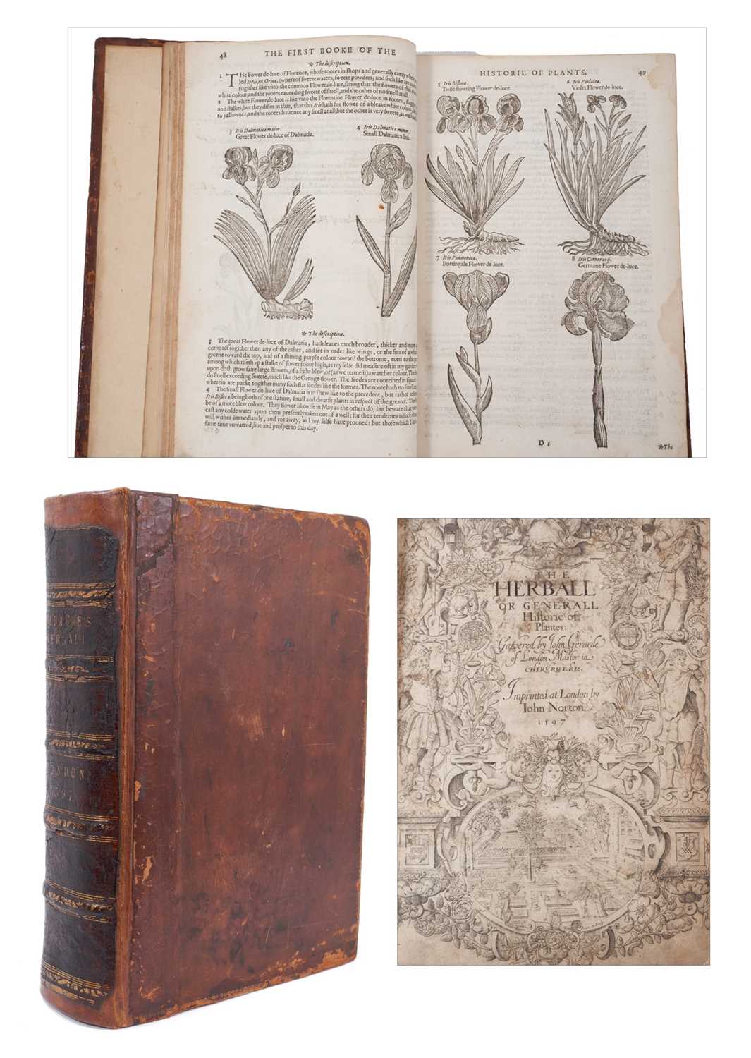 Lot 737 - The Herball or General Historie of Plantes, first edition 1597 by John Gerarde.