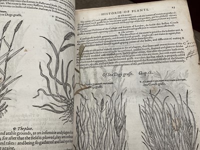 Lot 737 - The Herball or General Historie of Plantes, first edition 1597 by John Gerarde.