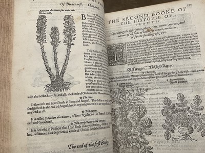 Lot 737 - The Herball or General Historie of Plantes, first edition 1597 by John Gerarde.