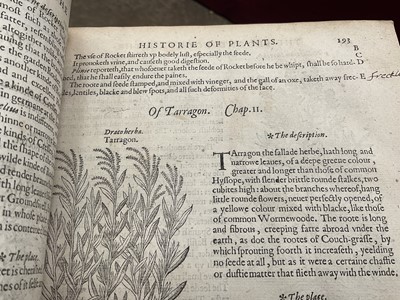 Lot 737 - The Herball or General Historie of Plantes, first edition 1597 by John Gerarde.