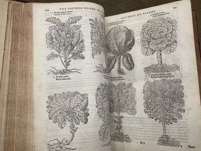 Lot 737 - The Herball or General Historie of Plantes, first edition 1597 by John Gerarde.