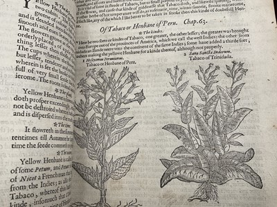 Lot 737 - The Herball or General Historie of Plantes, first edition 1597 by John Gerarde.