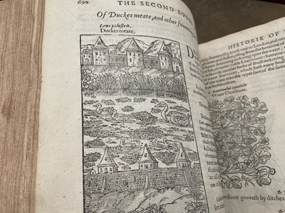 Lot 737 - The Herball or General Historie of Plantes, first edition 1597 by John Gerarde.