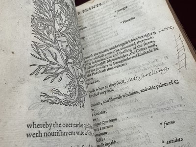 Lot 737 - The Herball or General Historie of Plantes, first edition 1597 by John Gerarde.