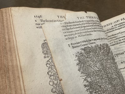 Lot 737 - The Herball or General Historie of Plantes, first edition 1597 by John Gerarde.