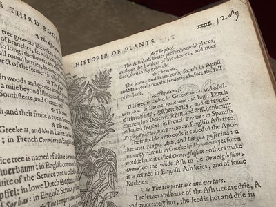 Lot 737 - The Herball or General Historie of Plantes, first edition 1597 by John Gerarde.