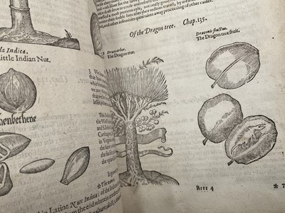 Lot 737 - The Herball or General Historie of Plantes, first edition 1597 by John Gerarde.