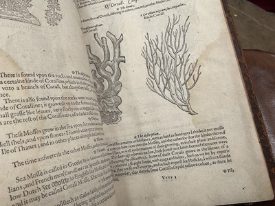 Lot 737 - The Herball or General Historie of Plantes, first edition 1597 by John Gerarde.