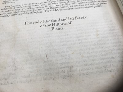 Lot 737 - The Herball or General Historie of Plantes, first edition 1597 by John Gerarde.