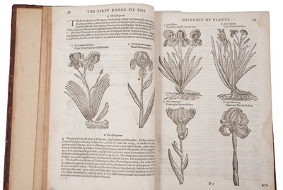 Lot 737 - The Herball or General Historie of Plantes, first edition 1597 by John Gerarde.