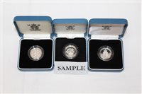 Lot 2137 - G.B. Elizabeth II Silverer Proof Coinss - Two...