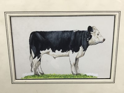 Lot 268 - English School, contemporary, watercolour - A Cow, 12cm x 18cm, in glazed gilt frame