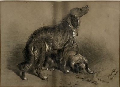 Lot 270 - C. V. Radcliffe, Victorian pencil and chalk drawing of two dogs, signed and dated Dec. 18th 1884, 33cm x 45cm, in glazed frame