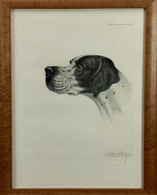 Lot 366 - Leon Danchin (1887-1838) signed coloured etching - Head of a Pointer, copyright by L. Danchin, Paris 1953, 48cm x 35.5cm, in glazed frame