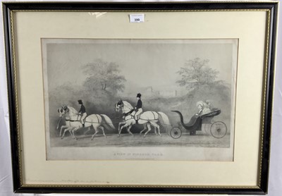 Lot 399 - Early Victorian black and white lithograph - 'A View in Windsor Park', 35cm x 54cm, in glazed frame