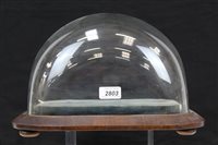 Lot 2803 - Victorian glass display dome on wooden base...